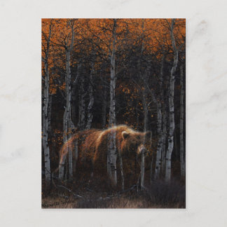 Cartão Postal Urso 3