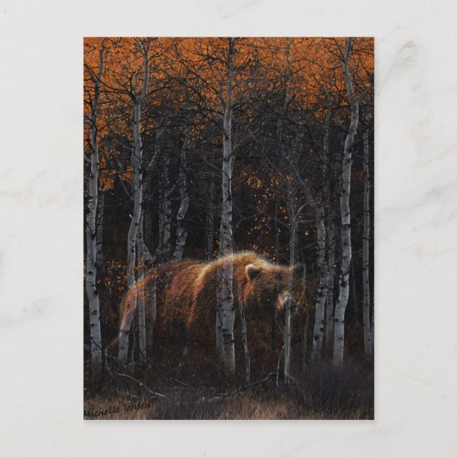 Cartão Postal Urso 3 (Frente)