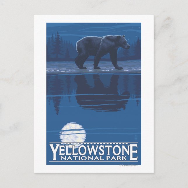 Cartão Postal Urso à Lua - Parque Nacional de Yellowstone (Frente)