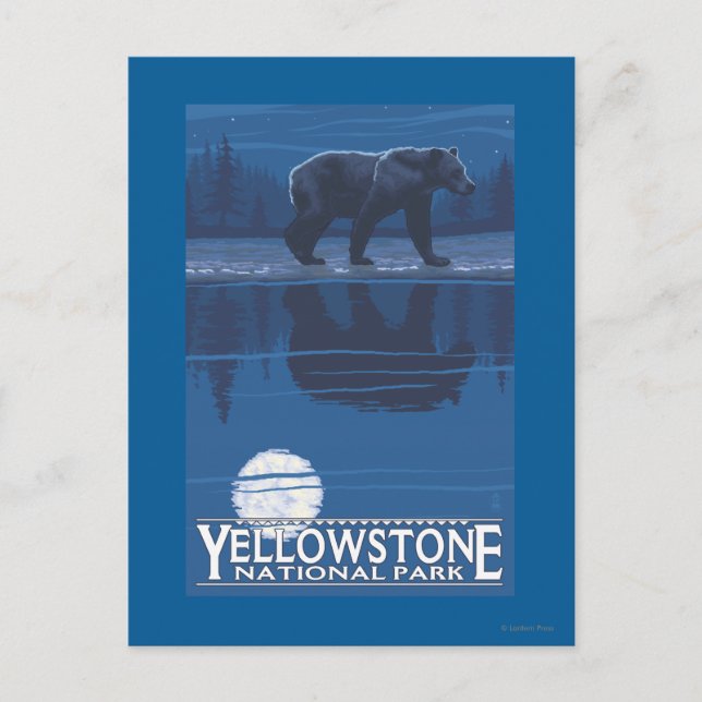 Cartão Postal Urso à Lua - Parque Nacional de Yellowstone (Frente)