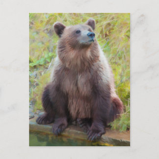 Cartão Postal Urso Castanho Europeu no Parque Urso de Berna
