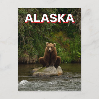 Cartão Postal Urso Castanho No Alasca