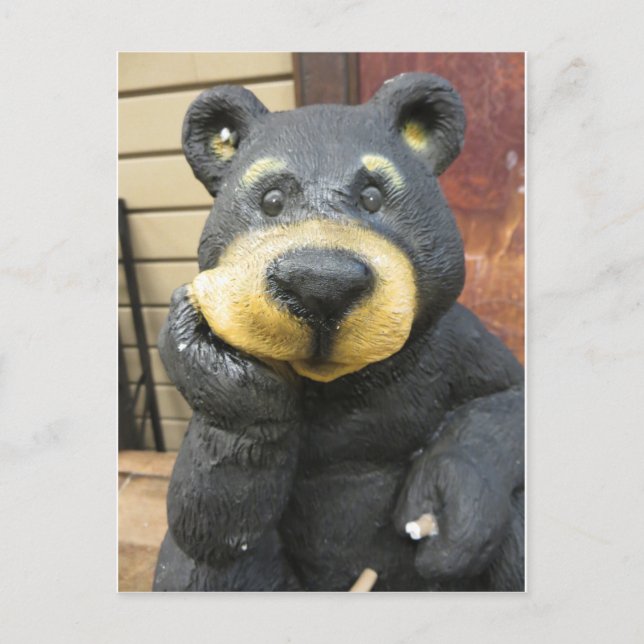 Cartão Postal Urso Cogitativo (Frente)