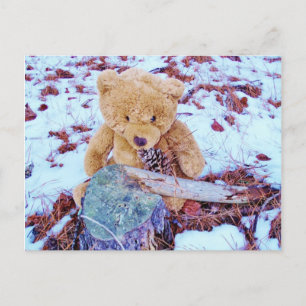 Cartão Postal Urso de Teddy na Neve, tom azul denim