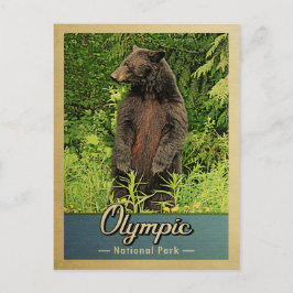 Cartão Postal Urso de Vintagem do Parque Nacional da olimpiadas