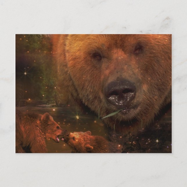 Cartão Postal Urso do Alasca com Cubs (Frente)