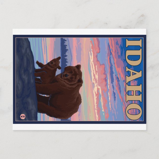 Cartão Postal Urso e Cub - Idaho (Frente)