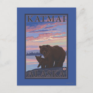 Cartão Postal Urso e Cub - Katmai, Alaska