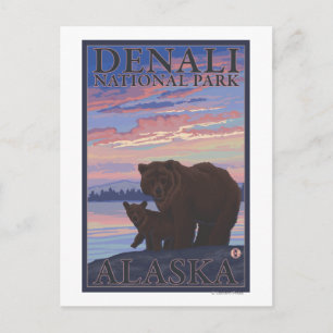 Cartão Postal Urso e Cub - Parque Nacional Denali, Alasca