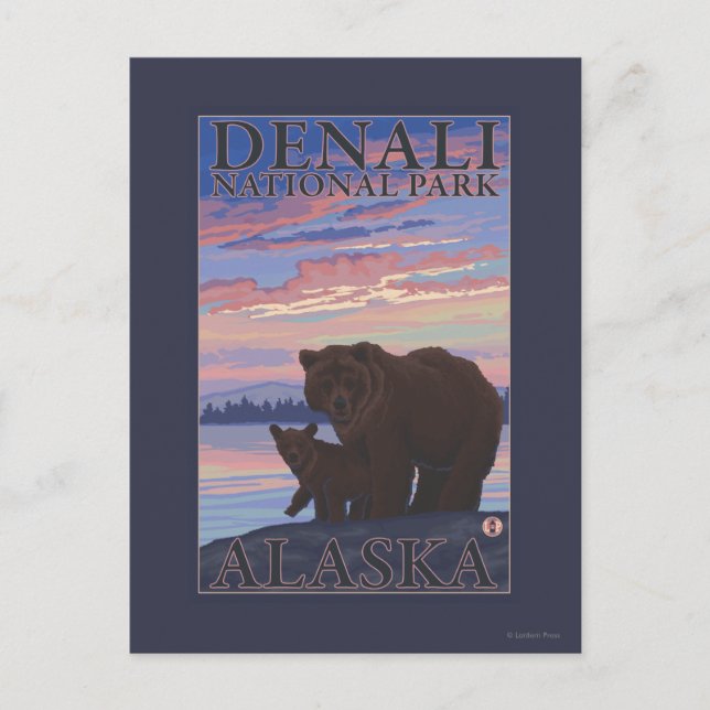 Cartão Postal Urso e Cub - Parque Nacional Denali, Alasca (Frente)