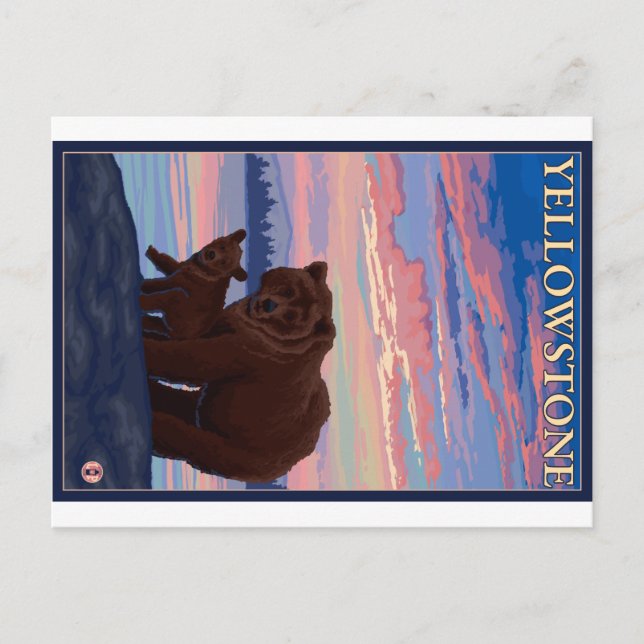 Cartão Postal Urso e Cubo - Parque Nacional Yellowstone (Frente)
