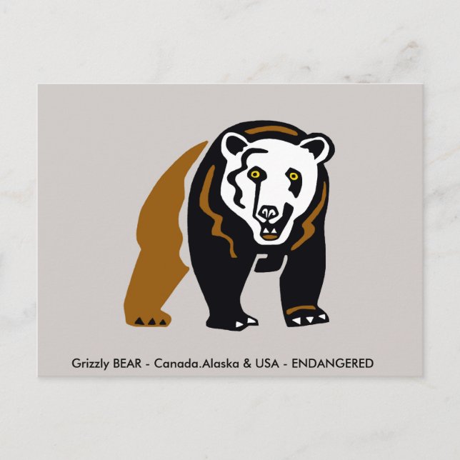 Cartão Postal Urso Grizzly desenhado à mão - Vida selvagem - ani (Frente)