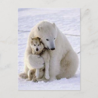 Cartão Postal Urso Imperioso e Cão