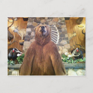 Cartão Postal Urso Maior do Mundo do Espaço de Golias Fazendas