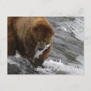Cartão Postal Urso-marrom apanhou salmão em Brooks Falls Alaska
