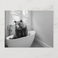 Urso na banheira Banho de espuma