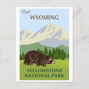 Cartão Postal Urso Nacional do Parque Vintage Yellowstone