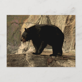 Cartão Postal Urso Negro (Arte Original)