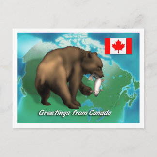 Cartão Postal Urso Negro Canadense
