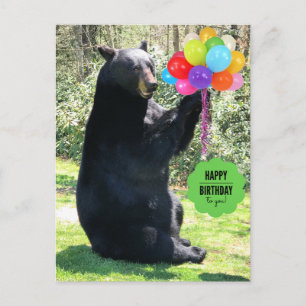 Cartão Postal Urso Negro - "Cubby - Feliz Aniversário!"