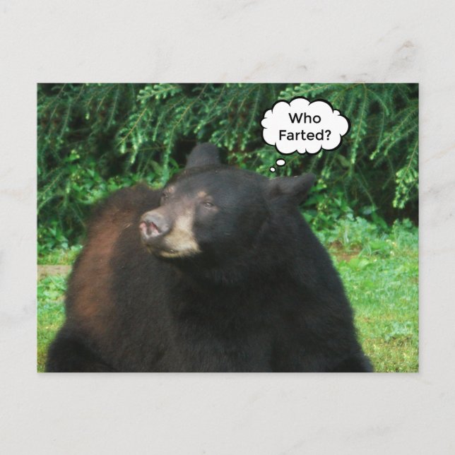 Cartão Postal Urso Negro - "Cubby Quem Fartou?" (Frente)