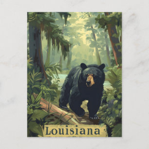 Cartão Postal Urso Negro da Louisiana