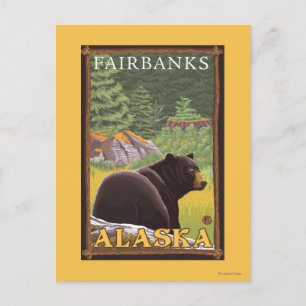 Cartão Postal Urso Negro em Floresta - Fairbanks, Alaska