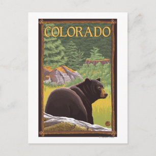 Cartão Postal Urso Negro em ForestColorado