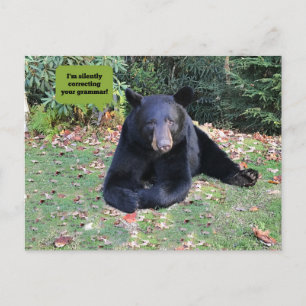 Cartão Postal Urso Negro - "Estou corrigindo silenciosamente sua