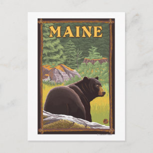 Cartão Postal Urso Negro Maine na Floresta