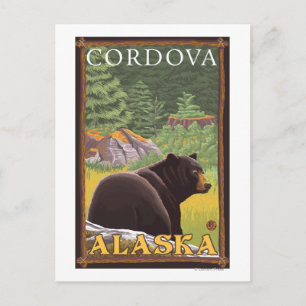 Cartão Postal Urso Negro na Floresta - Córdova, Alasca