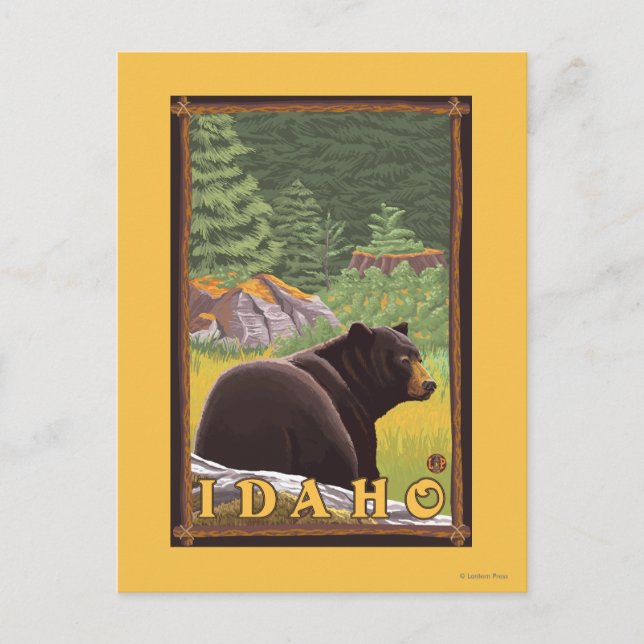 Cartão Postal Urso Negro na Floresta - Idaho (Frente)