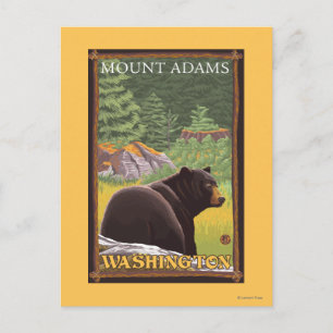 Cartão Postal Urso Negro na Floresta - Monte Adams, Washington