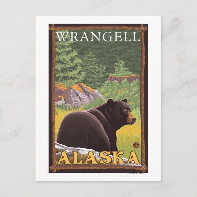 Cartão Postal Urso Negro na Floresta - Wrangell, Alaska (Frente)