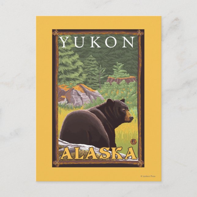 Cartão Postal Urso Negro na Floresta - Yukon, Alasca (Frente)