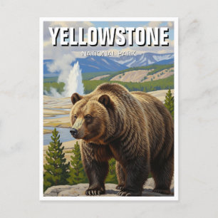 Cartão Postal Urso no Parque Nacional de Yellowstone Souvenir