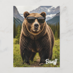 Cartão Postal Urso no Sunglass Banff National Park Canadá
