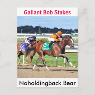 Cartão Postal Urso Noholdingback - Galante Bob Stake