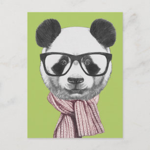 Cartão Postal Urso Panda Pronto Para Inverno
