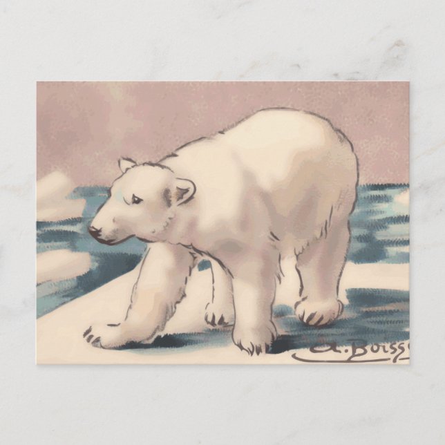 Cartão Postal Urso Polar (Frente)