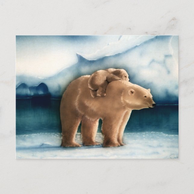 Cartão Postal Urso Polar (Frente)