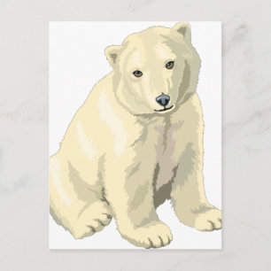 Cartão Postal Urso Polar do fofinho