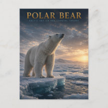 Urso Polar Gelo Marinho Ártico ANIMAIS