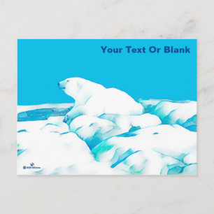 Cartão Postal Urso Polar No Gelo