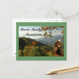 Cartão Postal Urso Preto da Montanha Sombria