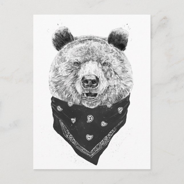 Cartão Postal Urso selvagem (Frente)