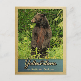 Cartão Postal Urso Vintage do Parque Nacional Yellowstone