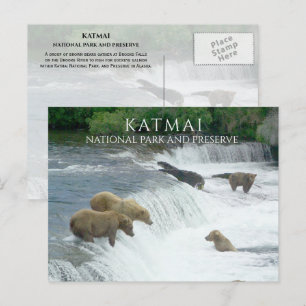 Cartão Postal Ursos Castanhos Pescando Foguetes Katmai NPP Alasc