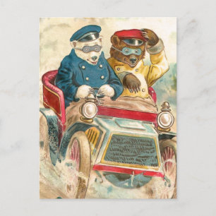 Cartão Postal Ursos de Corrida