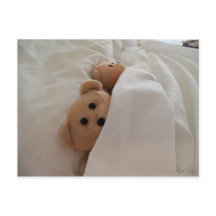 Ursos de Teddy Dormindo atrasado com Foto da Placa